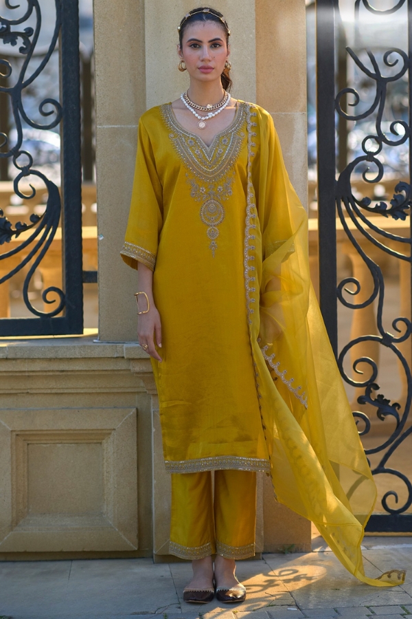 Luxurious Silk Ensemble: Motif Embroidered Collection